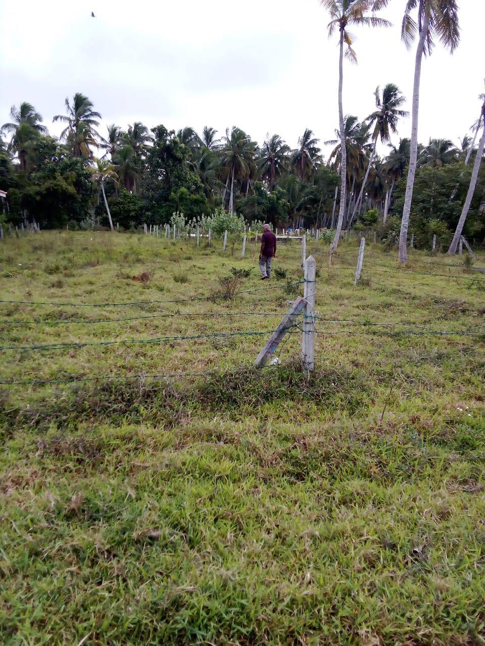 මාරවිල පචස් 15 ඉඩම විකිනිමට