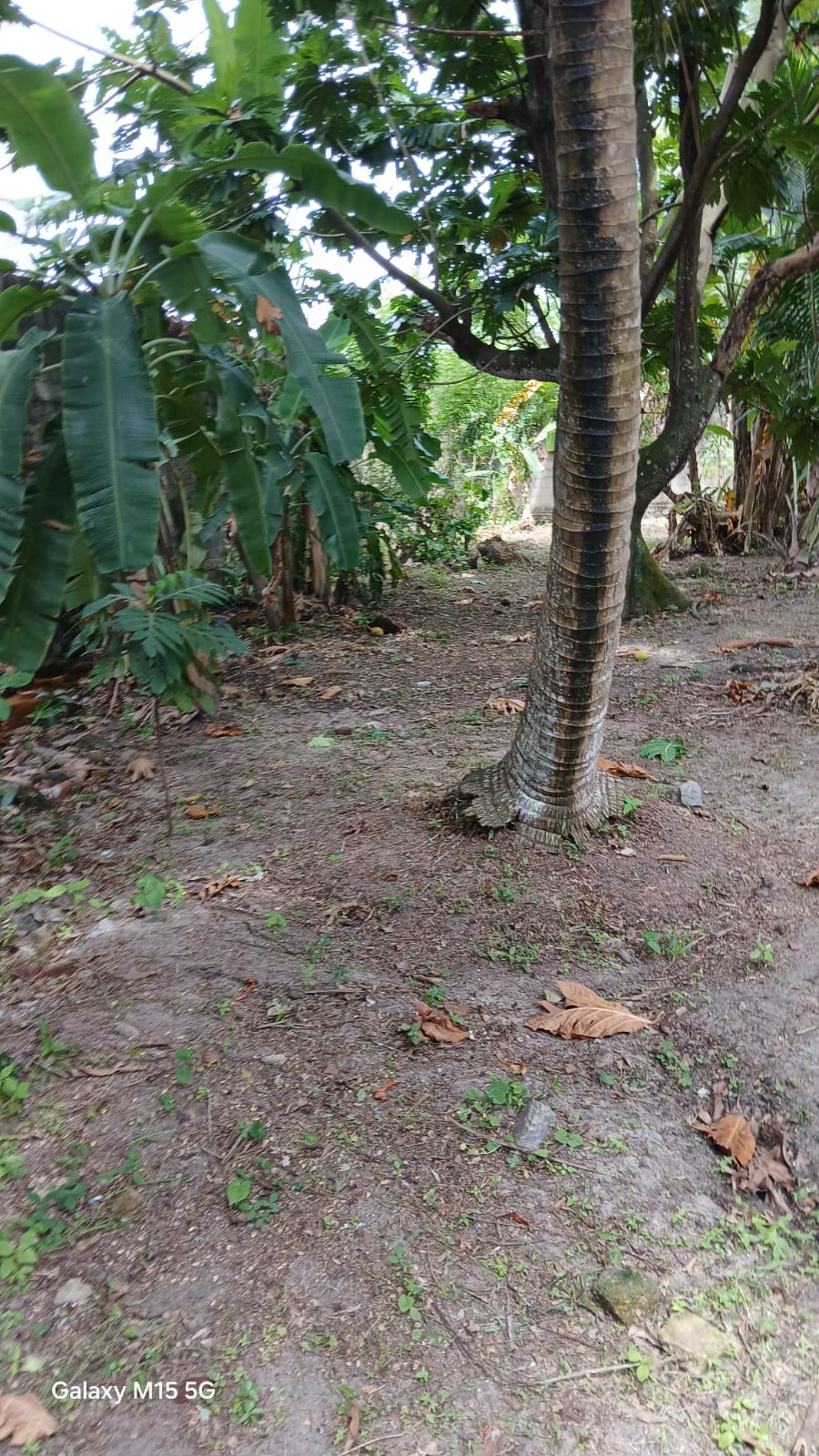 Seeduwa Land For Sale