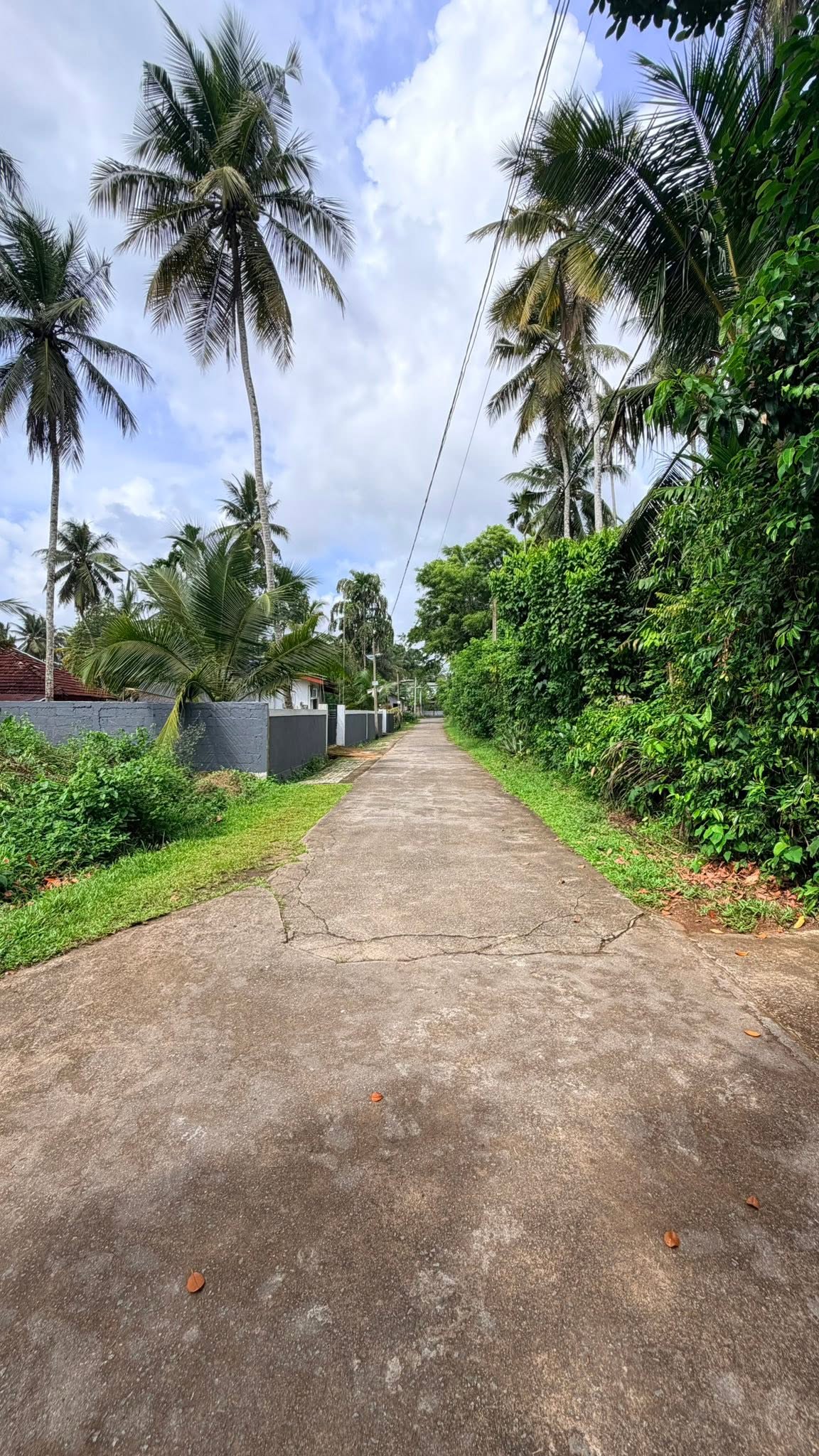 අතුරුගිරිය ඔරුවල සීලවිමල මවතේ පර්චස් 10/ 12 බිම් කොටස් 2ක් අඩුම මිලට පර්චසය ලක්ෂ 11 අගනා බිම් කොටස් 2ක් මුදල් හදිසියක් මත ඉකමනින් විකිණීමට.