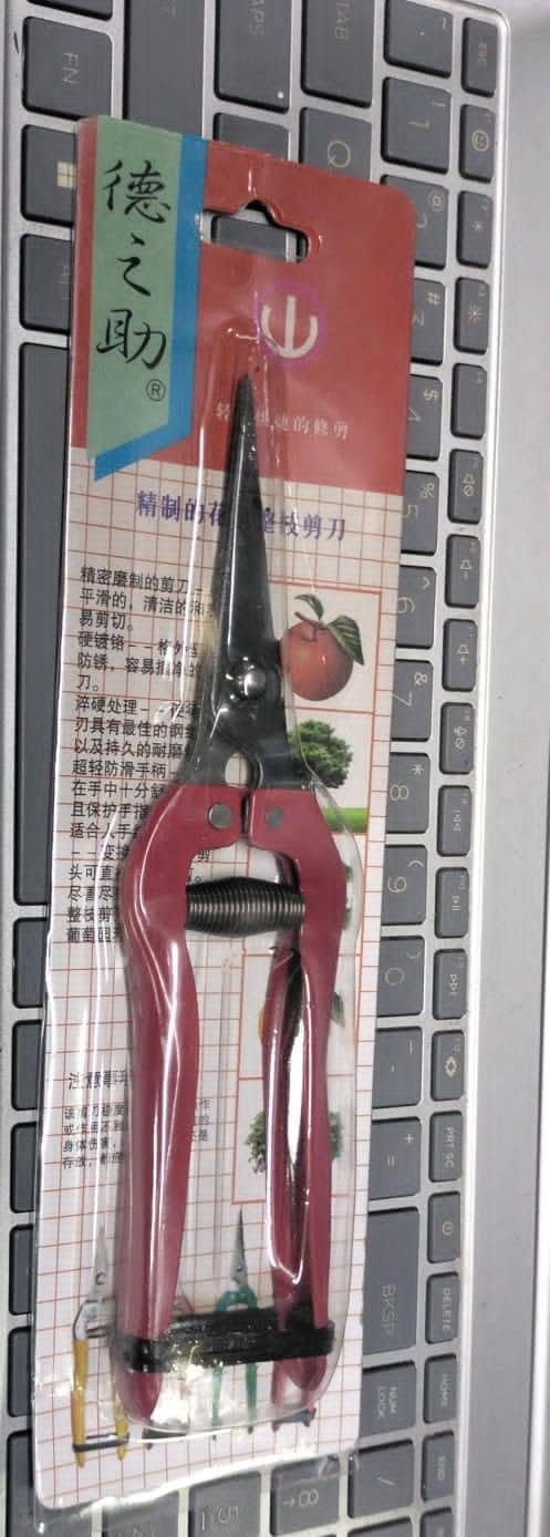 Pruning Scissors