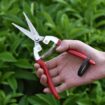 Pruning Scissors