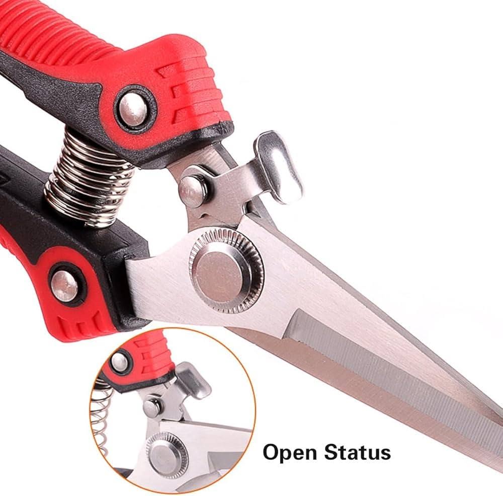 Pruning Scissors