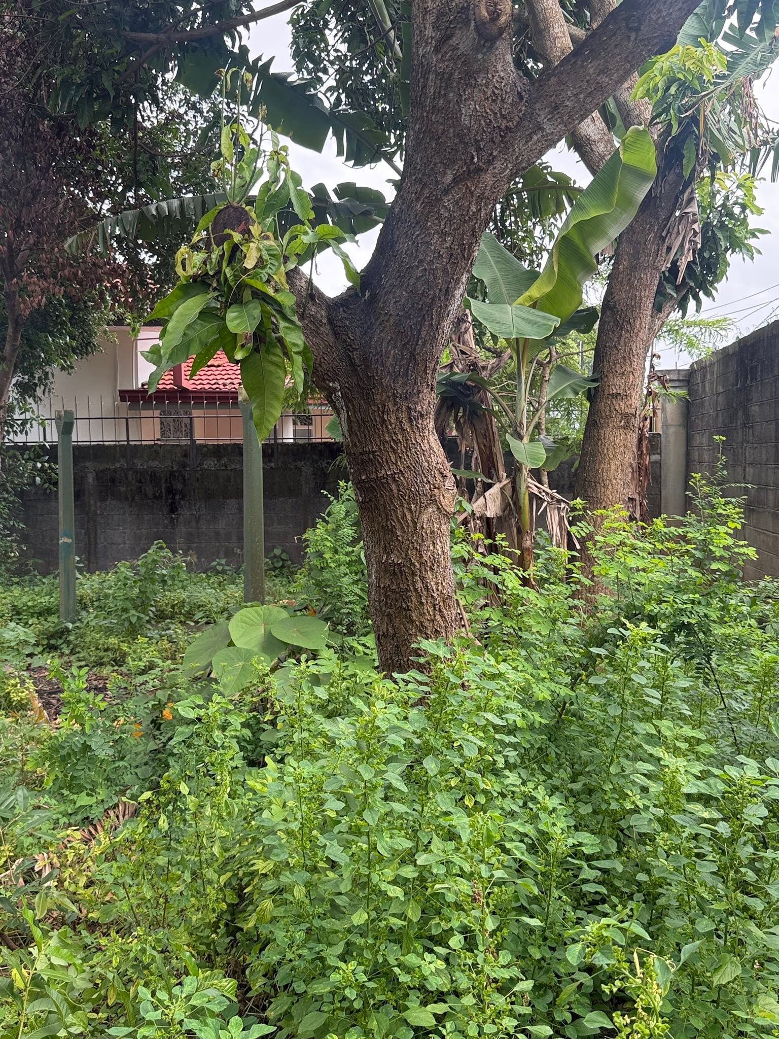 Land for Sale in Katuwapitiya ( Danawardana Garden)