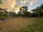 මීගමුව – ඒත්තුකාල ප්‍රදේශයේ LAND FOR SALE