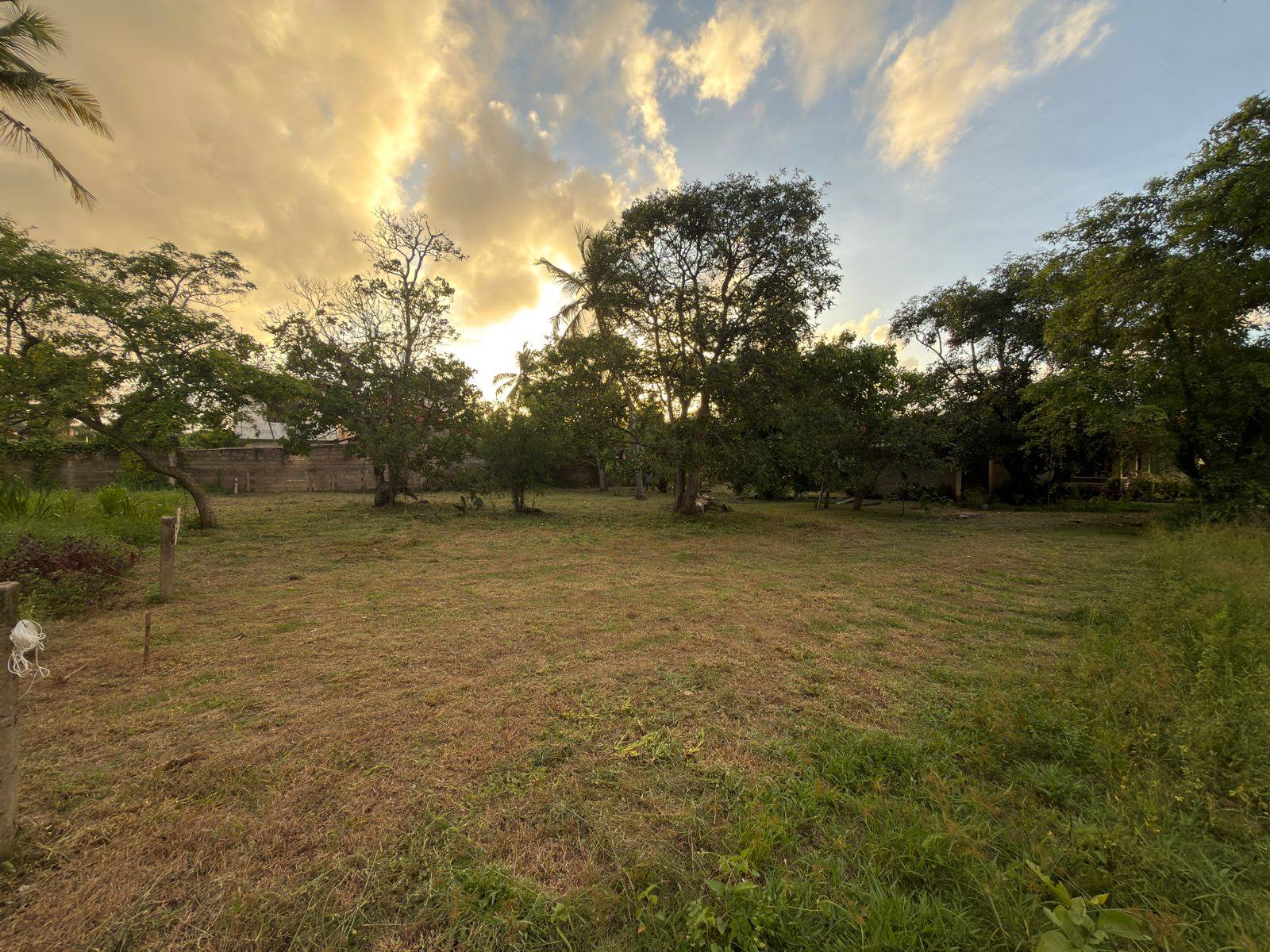 මීගමුව – ඒත්තුකාල ප්‍රදේශයේ LAND FOR SALE
