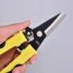 Pruning Scissors