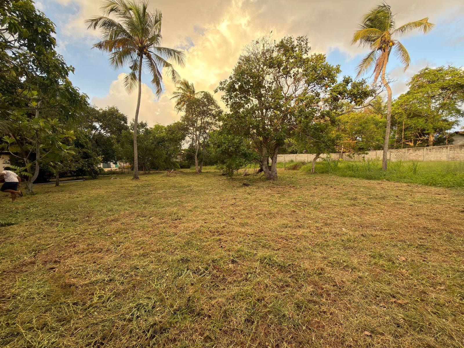 මීගමුව – ඒත්තුකාල ප්‍රදේශයේ LAND FOR SALE