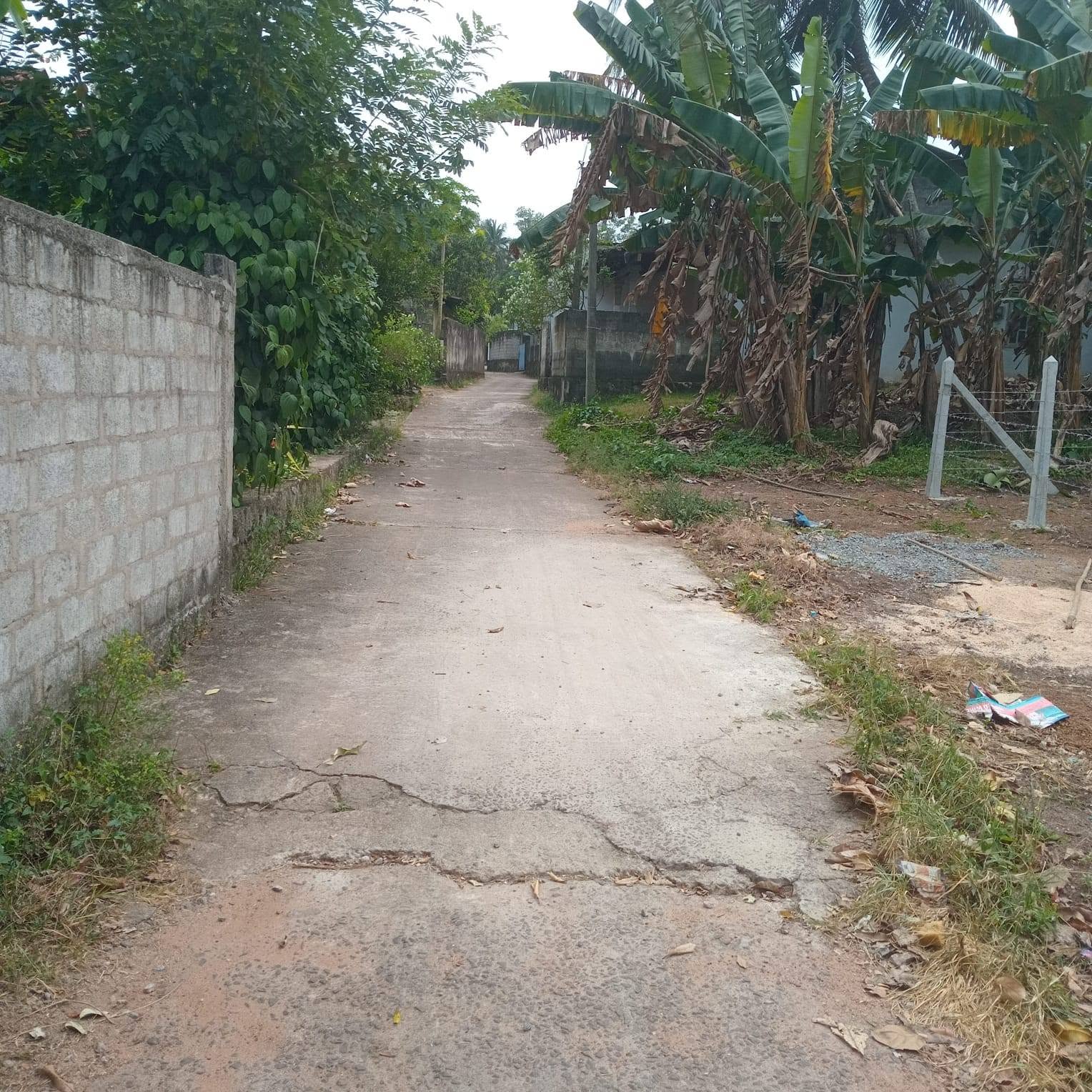 Prime Land for Sale – Veyangoda