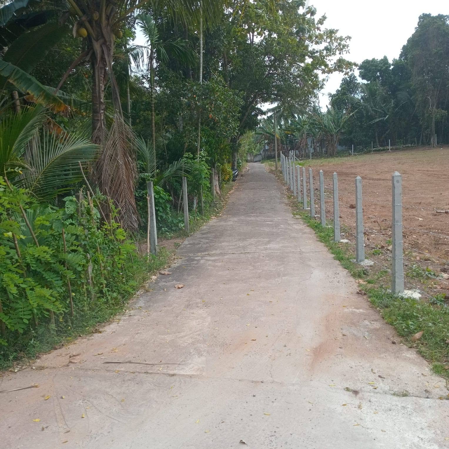 Prime Land for Sale – Veyangoda