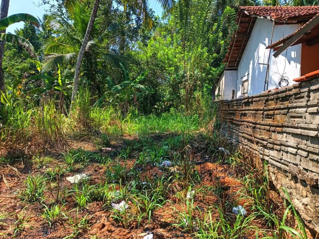 උඩුගම්පල වීදියවත්තෙන්/ කාපට් පාරෙන් දෙවෙනි ඉඩම ඉක්මනින් විකිණීමට