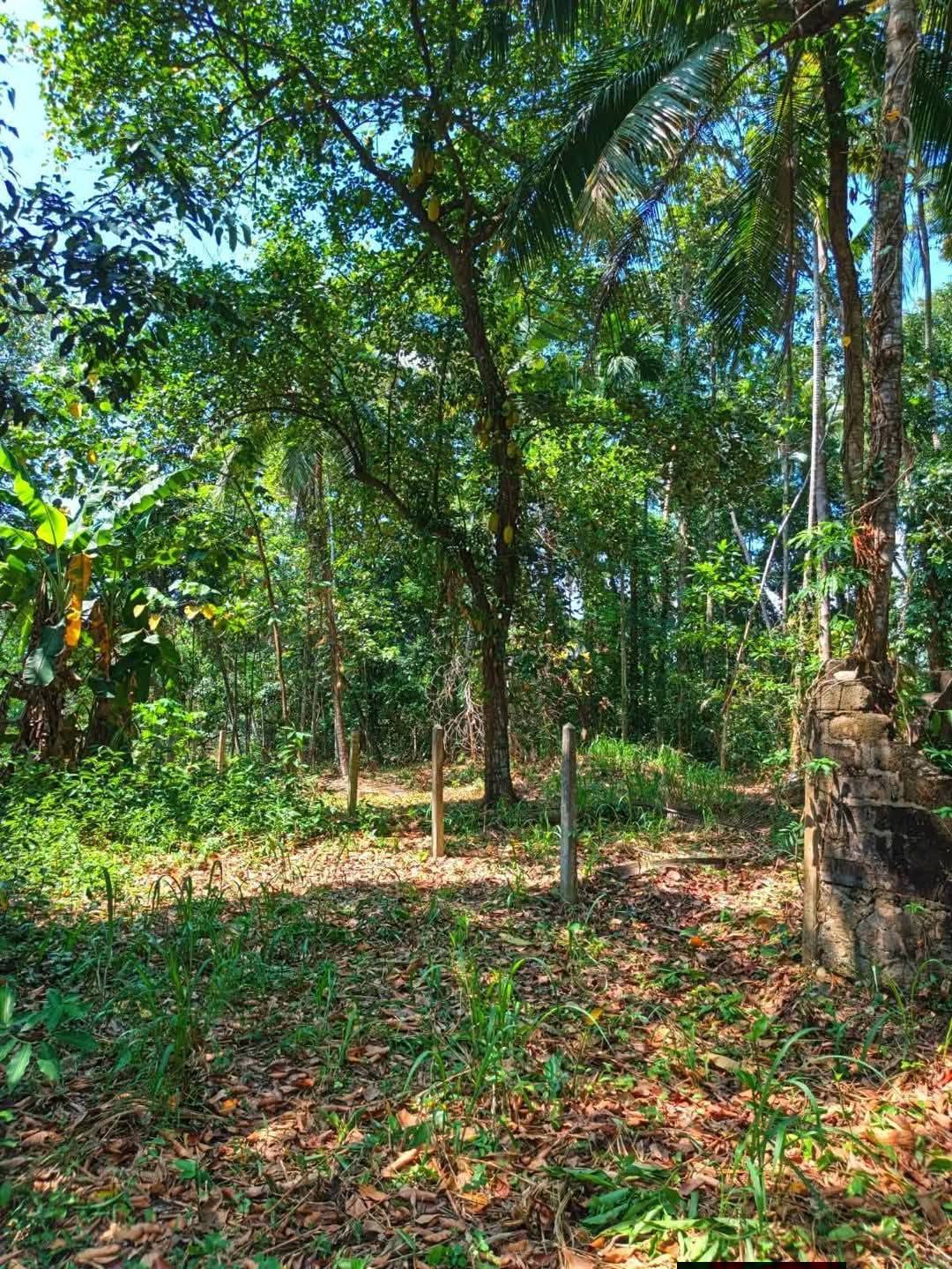 උඩුගම්පල වීදියවත්තෙන්/ කාපට් පාරෙන් දෙවෙනි ඉඩම ඉක්මනින් විකිණීමට