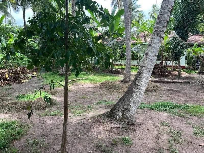 මිනුවන්ගොඩ නගර සීමාවේ මිනුවන්ගොඩ කටුනායක මාර්ගයේ රණවිරු හෙලසිරි මාවතේ පර්චස් 15 අගනා බිම් කොටසක් විකිණීමට ඇත.