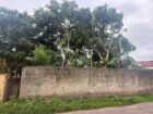 Land for Sale in Katuwapitiya ( Danawardana Garden)