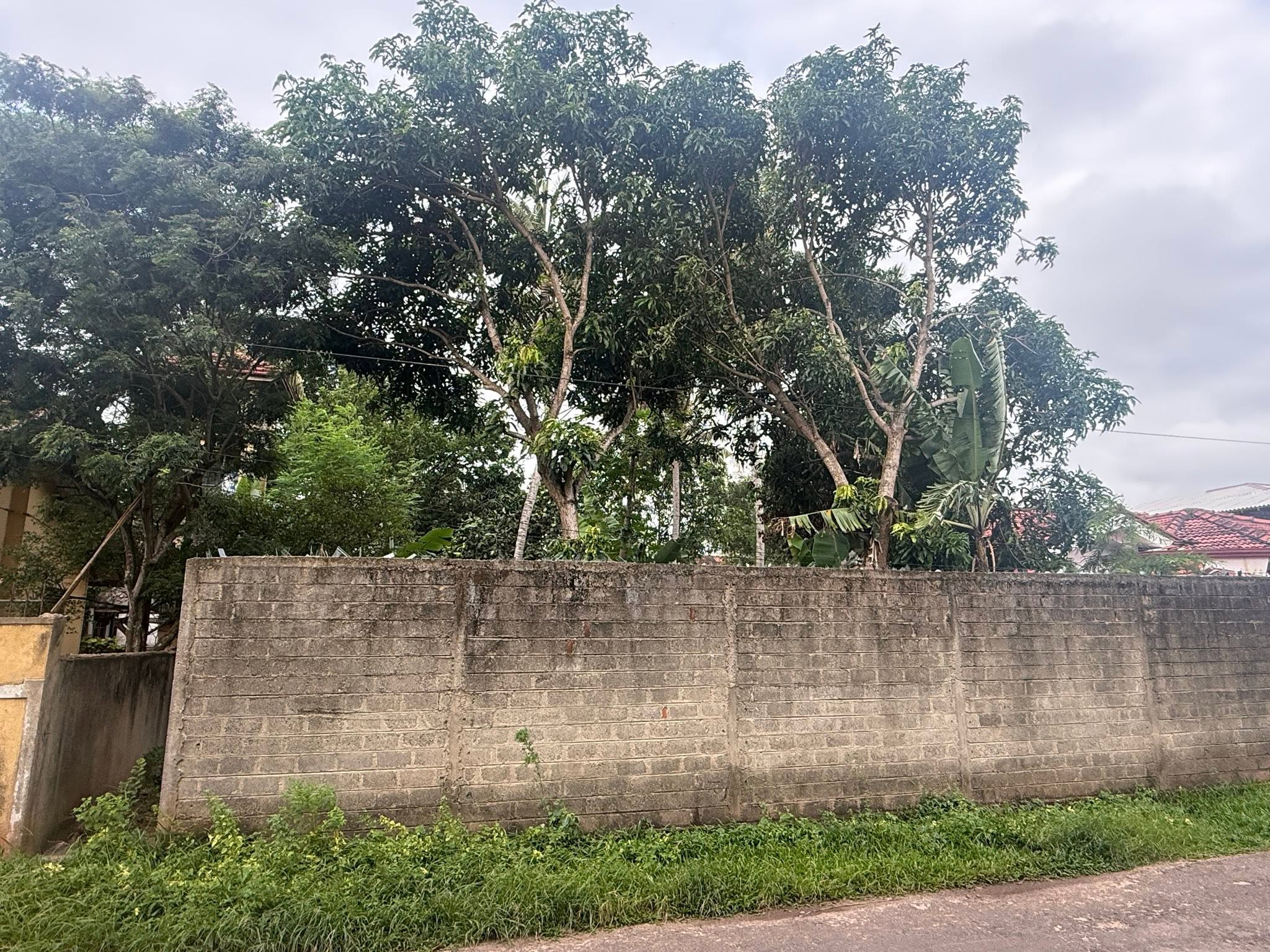 Land for Sale in Katuwapitiya ( Danawardana Garden)