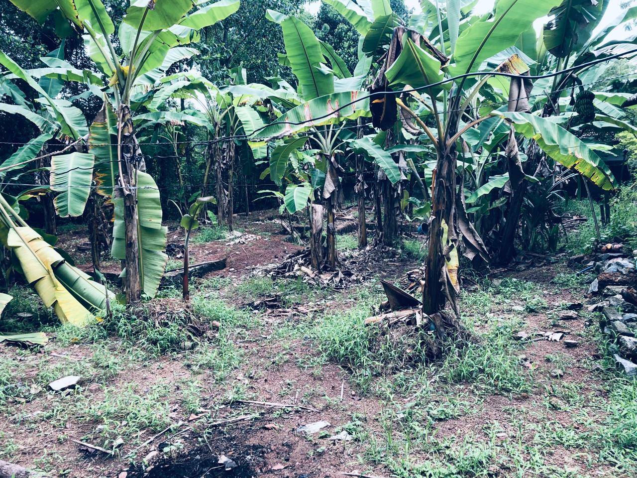 ගම්පහ උඩුගම්පලින් පදිංචියට ලැබෙන අනගි අවස්ථාවක්! 