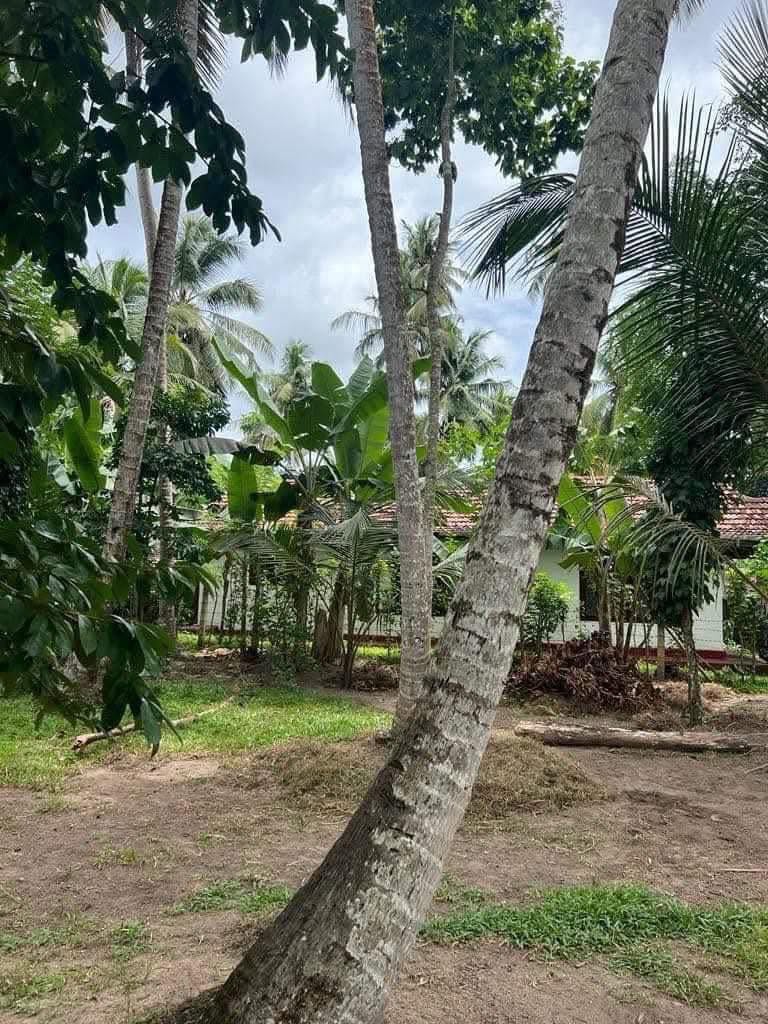 මිනුවන්ගොඩ නගර සීමාවේ මිනුවන්ගොඩ කටුනායක මාර්ගයේ රණවිරු හෙලසිරි මාවතේ පර්චස් 15 අගනා බිම් කොටසක් විකිණීමට ඇත.