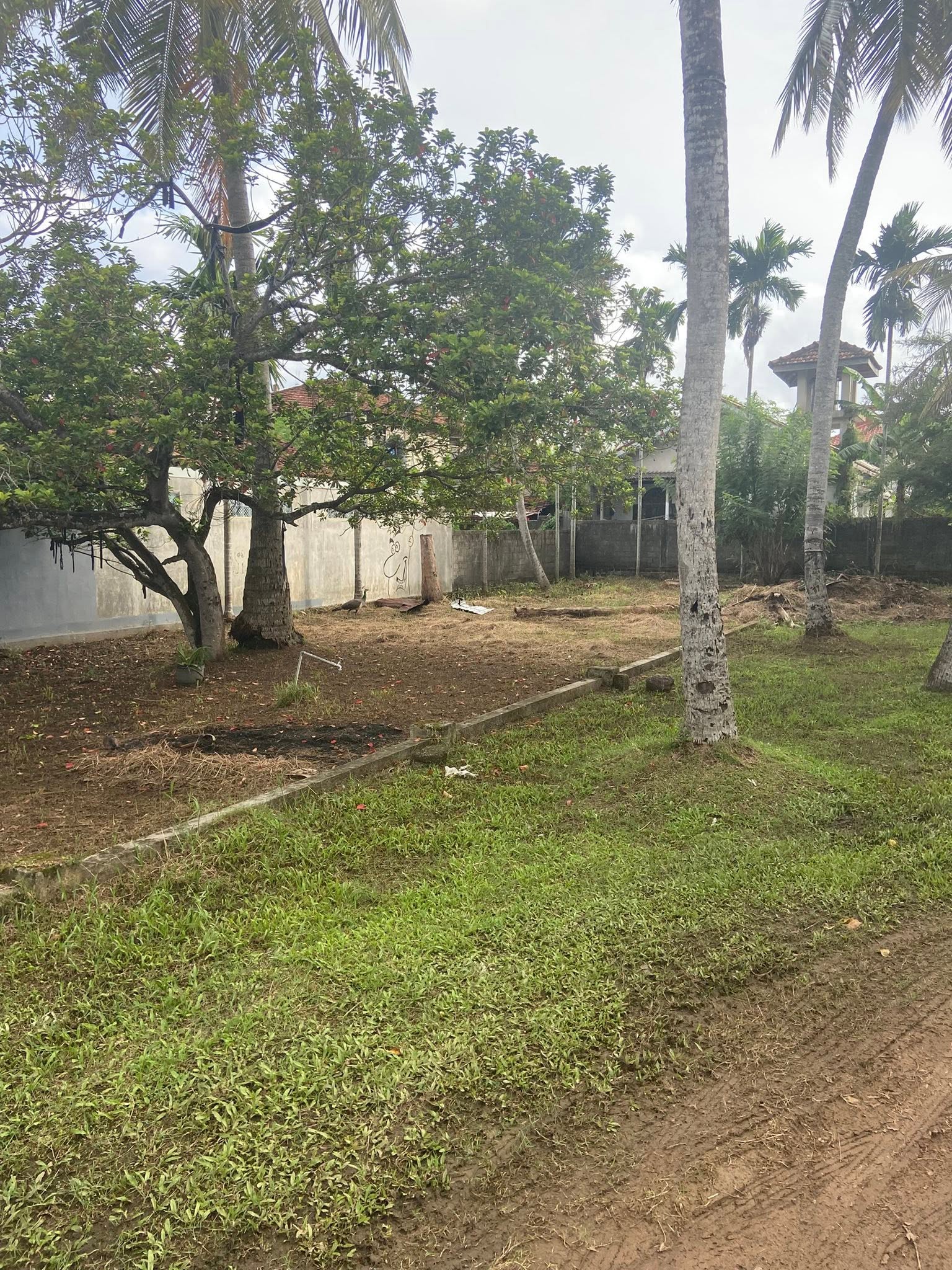 Land with House for Sale