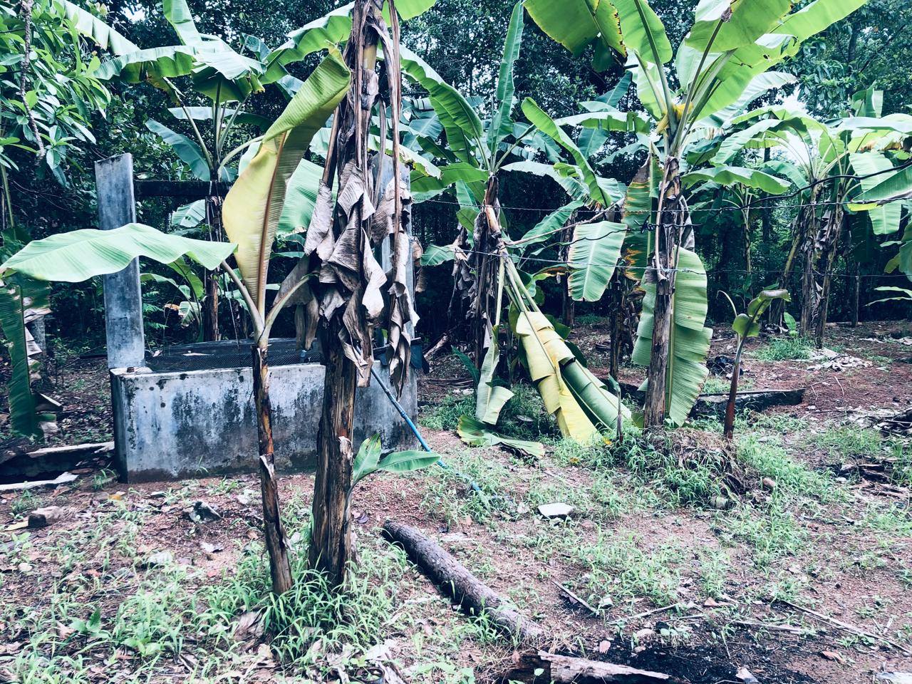 ගම්පහ උඩුගම්පලින් පදිංචියට ලැබෙන අනගි අවස්ථාවක්! 