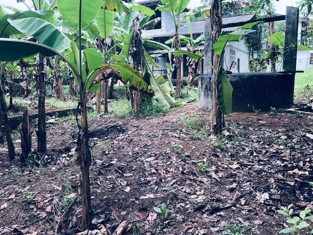 ගම්පහ උඩුගම්පලින් පදිංචියට ලැබෙන අනගි අවස්ථාවක්! 