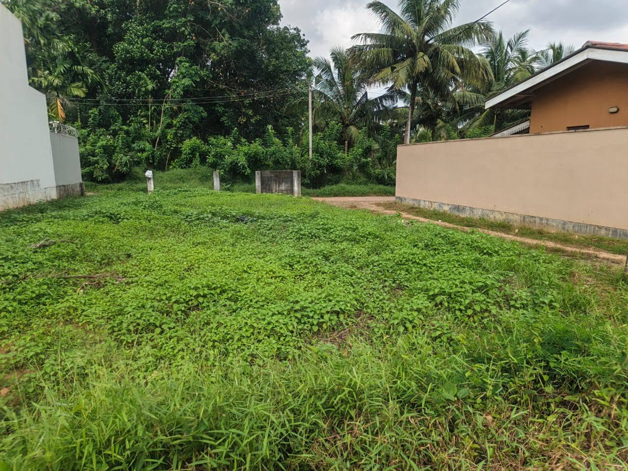 මෙම ඉඩම විකිනිමට ඇත.