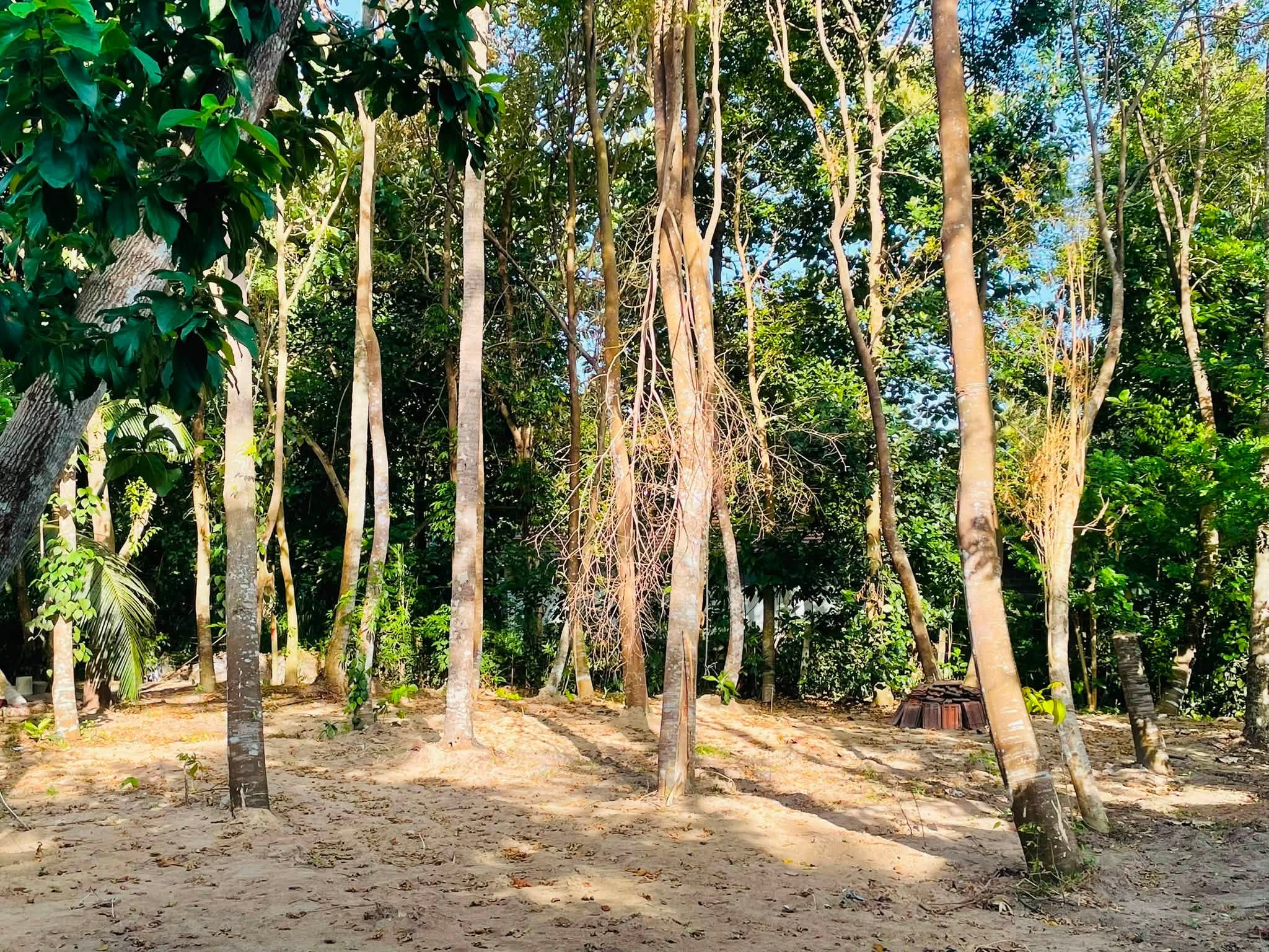 සුපිරි ඉඩම් කැබැල්ලක් හොයන අයට මෙන්න සුපිරියක් …පීල්ලවත්ත ,උන්නාරුව ප්‍රදේශයෙන් .