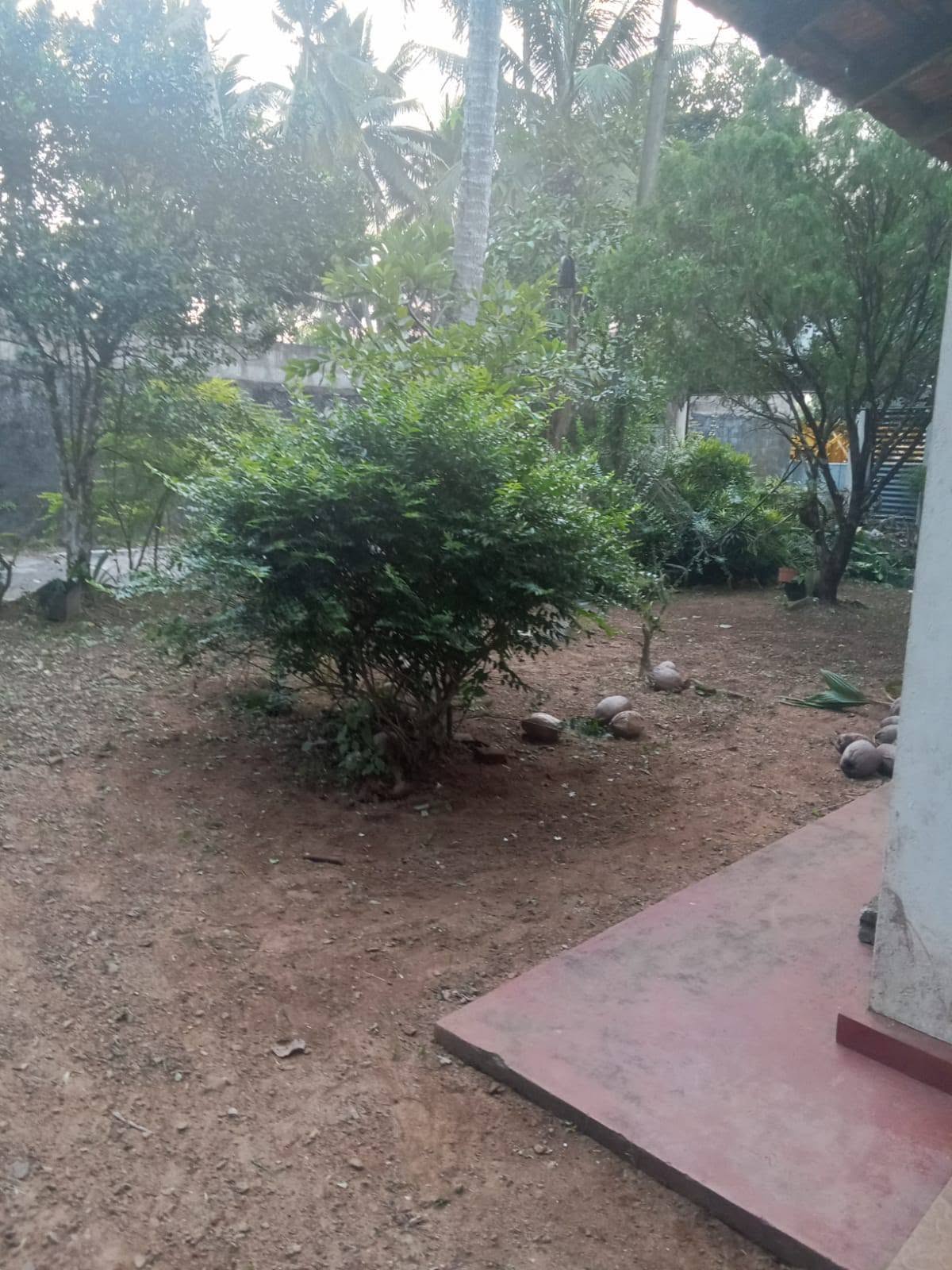 අතුරුගිරියේ මෙම නිවස ඉක්මනින් විකිණීමට