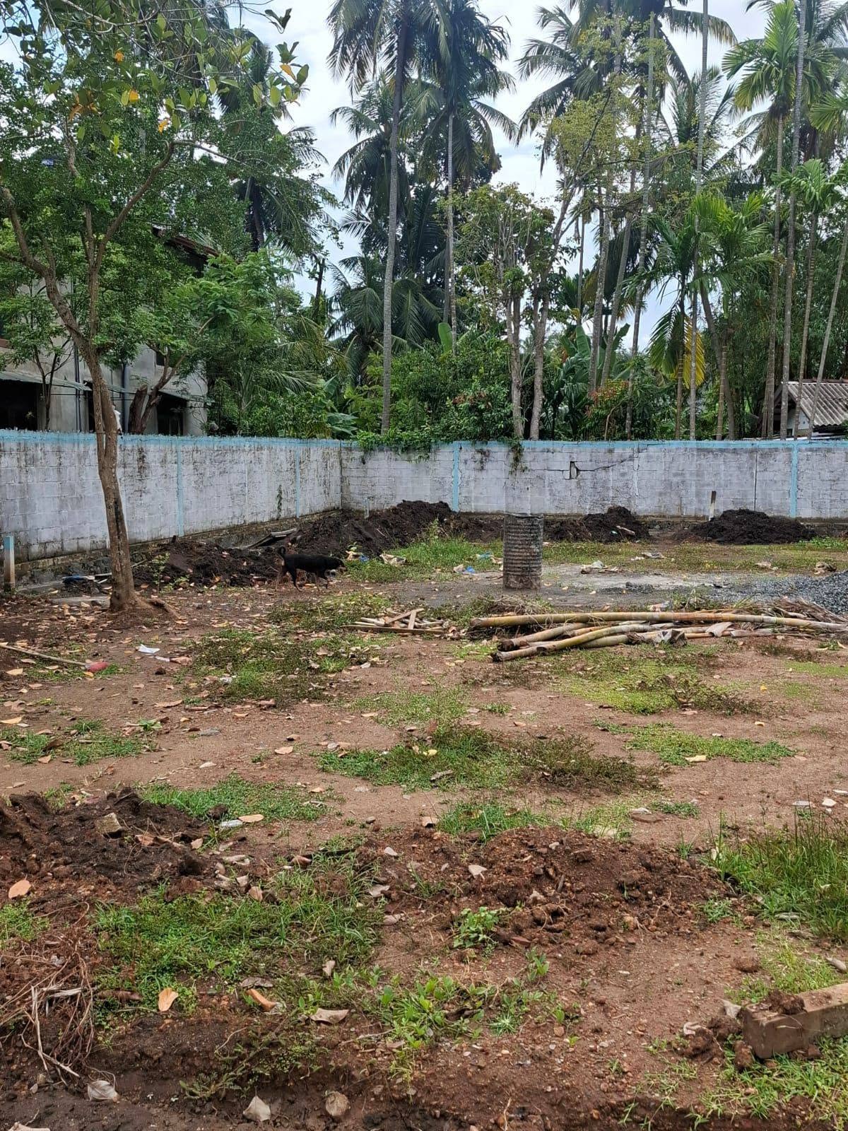 පානදුර නගරයේ නල්ලූරුව දිබ්බැද්ද ප්‍රදේශයේ පර්චස් 8කින් යුත් අගනා ඉඩමක් විකිණීමට ඇත