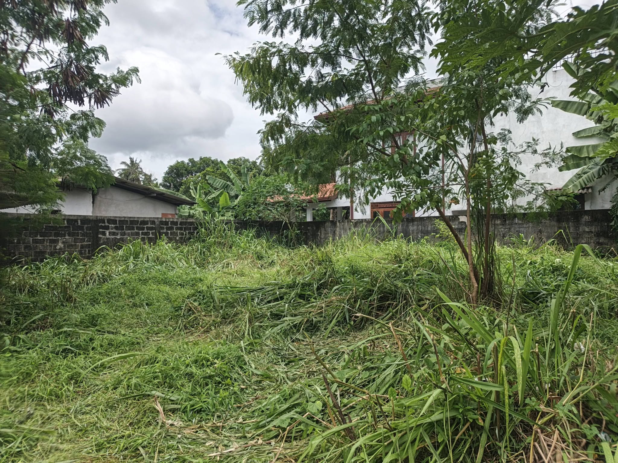 මහරගම ඉඩම විකිණිමට