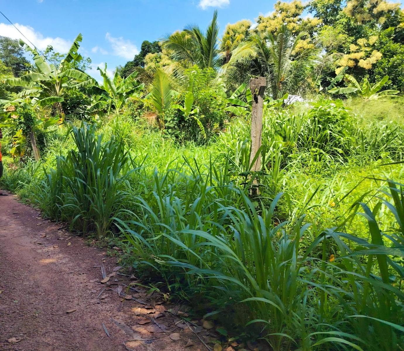 පර්චස් 15 ඉඩම for sale.