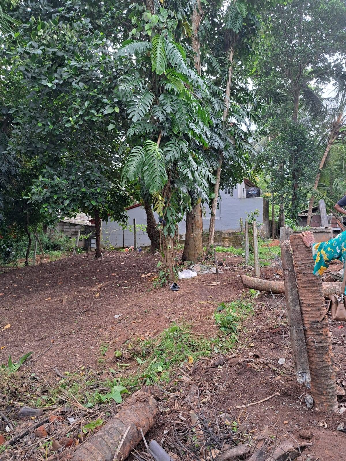 කඩුවෙල නගරයට ඉතා සමීපව සුපිරි නේවාසික භූමියක්.