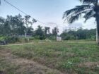 Highly Residential land for sale in Pitipana Homagama