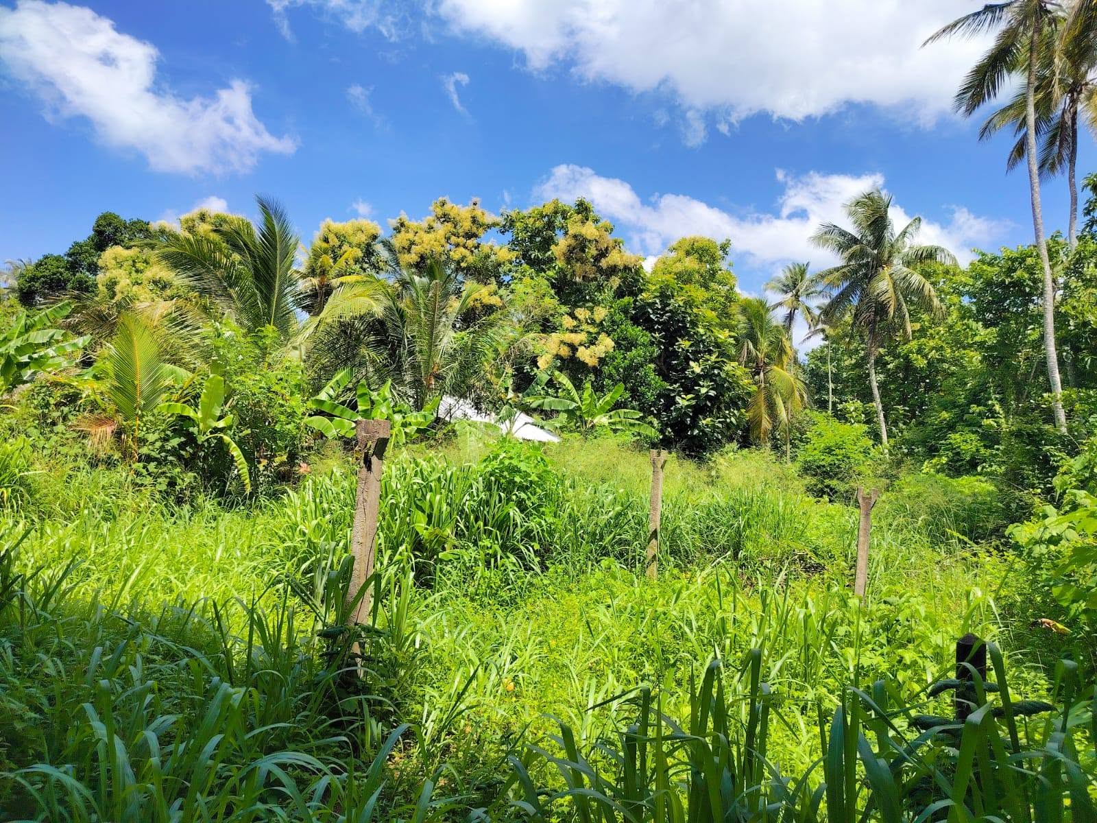 පර්චස් 15 ඉඩම for sale.