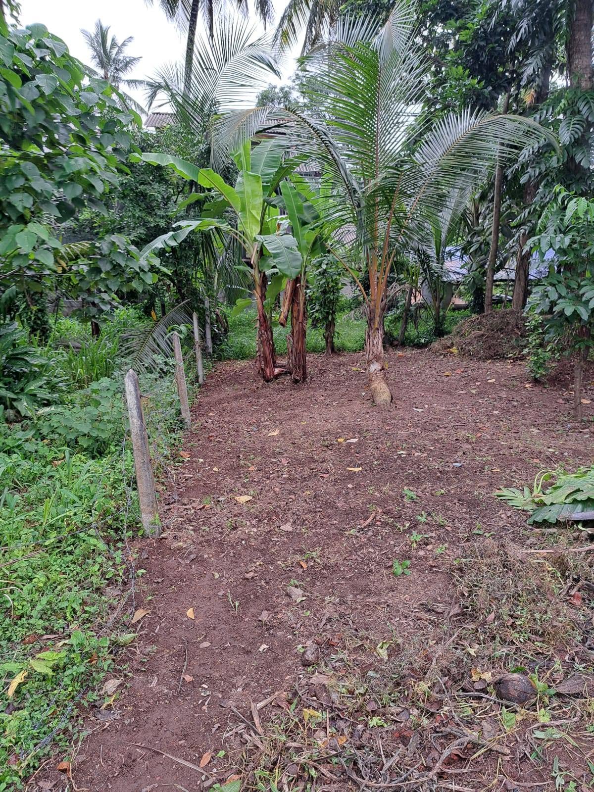කඩුවෙල නගරයට ඉතා සමීපව සුපිරි නේවාසික භූමියක්.