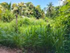 පර්චස් 15 ඉඩම for sale.
