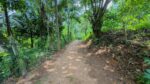 පර්චස් 13ම ලක්ෂ 10.50/= නිට්ටඹුව උෘරපොල අවටින්