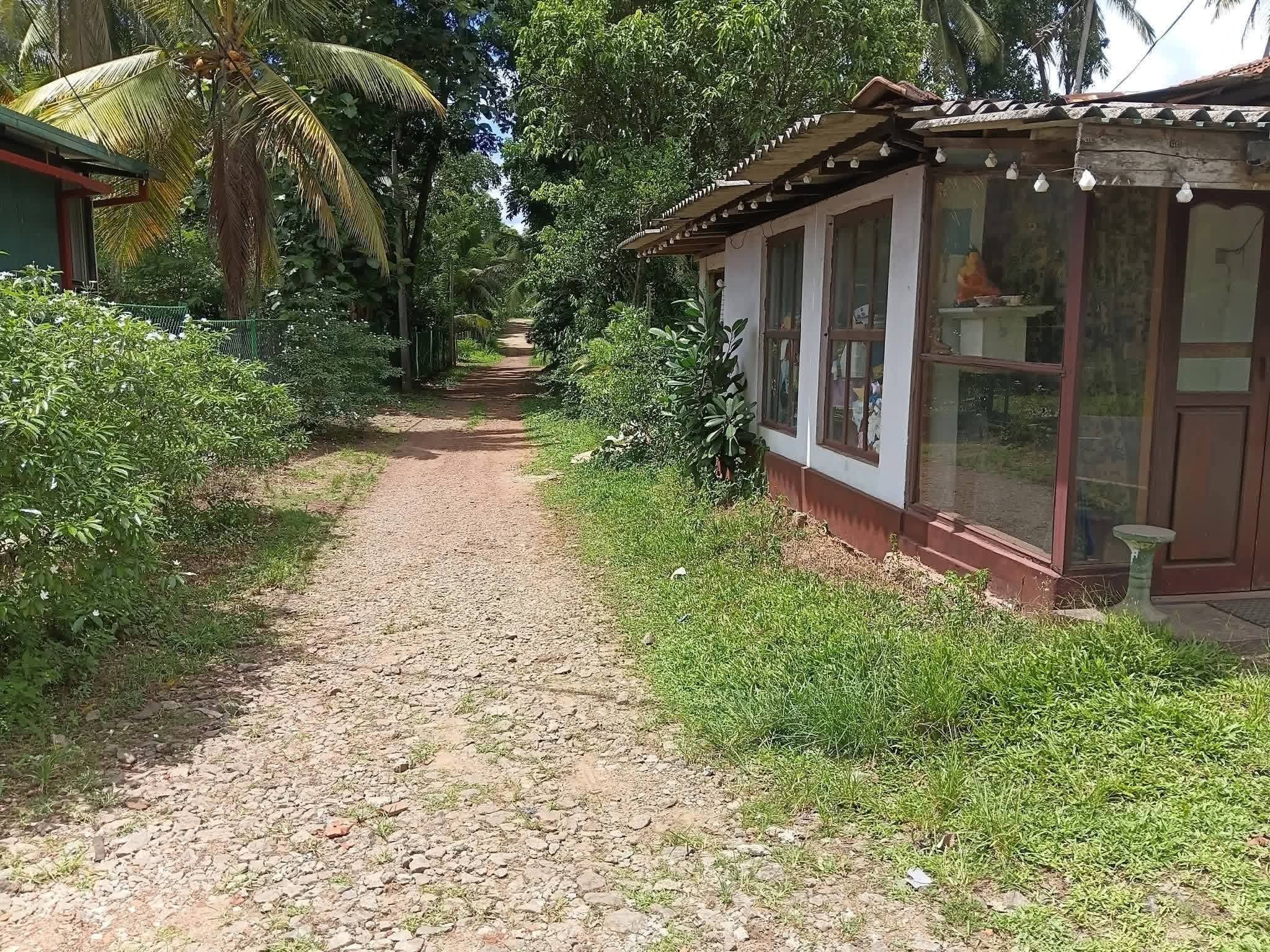 ව්‍යාපාරික කටයුතු සඳහා ඉතාම වටිනා ඉඩමක් – ඉක්මණින් විකිණේ!