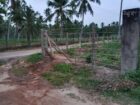 මීගමුව – දාගොන්න ආසන්නයෙන් සුපිරි ඉඩමක් විකිණීමට!