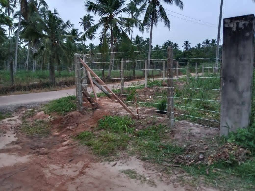 මීගමුව – දාගොන්න ආසන්නයෙන් සුපිරි ඉඩමක් විකිණීමට!