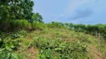 පර්චස් 13ම ලක්ෂ 10.50/= නිට්ටඹුව උෘරපොල අවටින්
