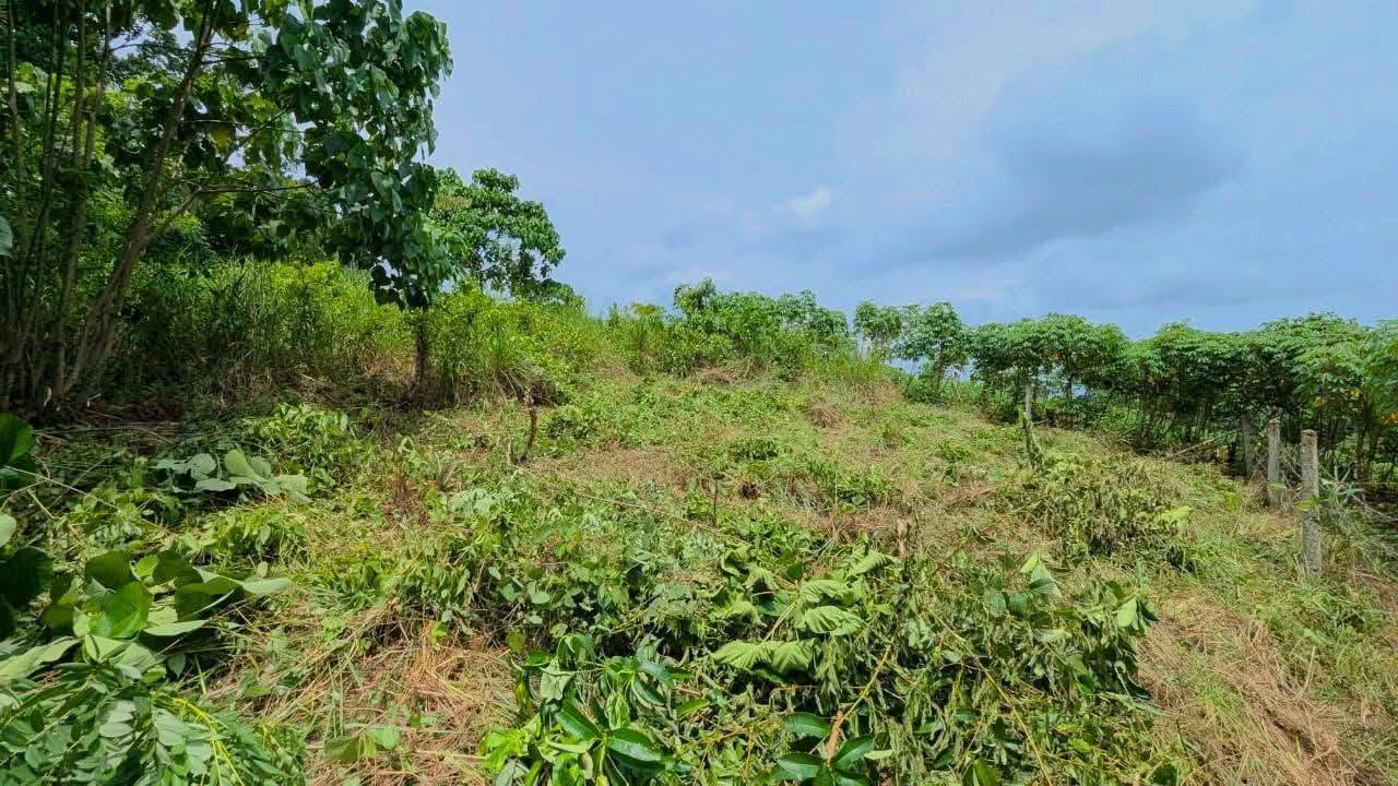 පර්චස් 13ම ලක්ෂ 10.50/= නිට්ටඹුව උෘරපොල අවටින්