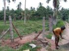 මීගමුව – දාගොන්න ආසන්නයෙන් සුපිරි ඉඩමක් විකිණීමට!