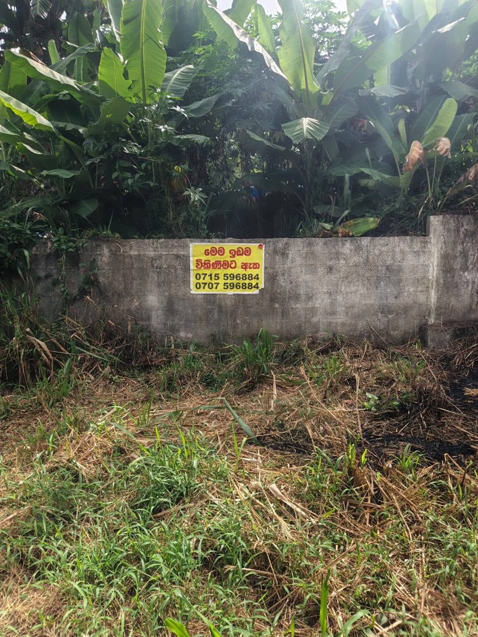 මෙම ඉඩම විකිනිමට ඇත.