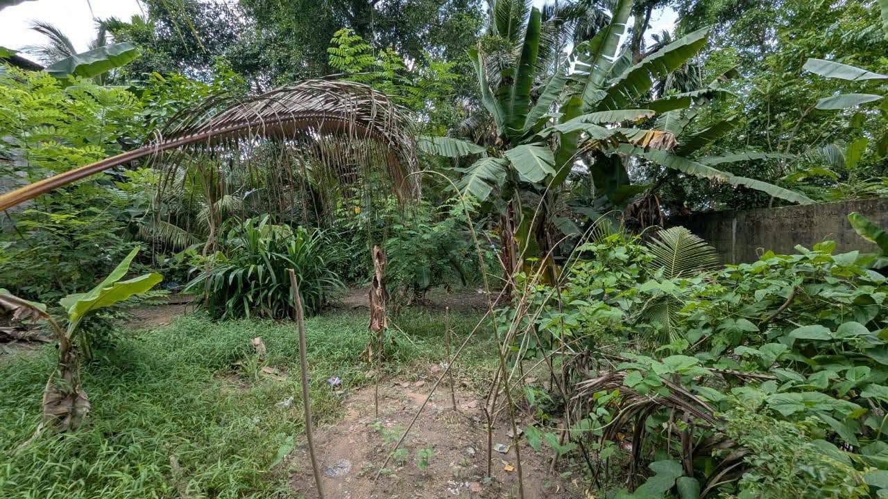 ගම්පහ – ඉඳිගොල්ලෙන් වටිනා බිම් කොටසක් විකිණීමට!