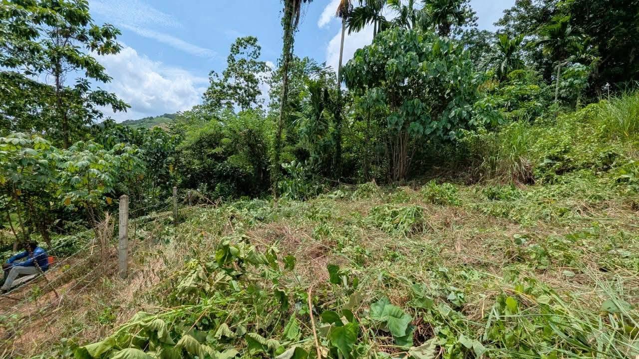 පර්චස් 13ම ලක්ෂ 10.50/= නිට්ටඹුව උෘරපොල අවටින්