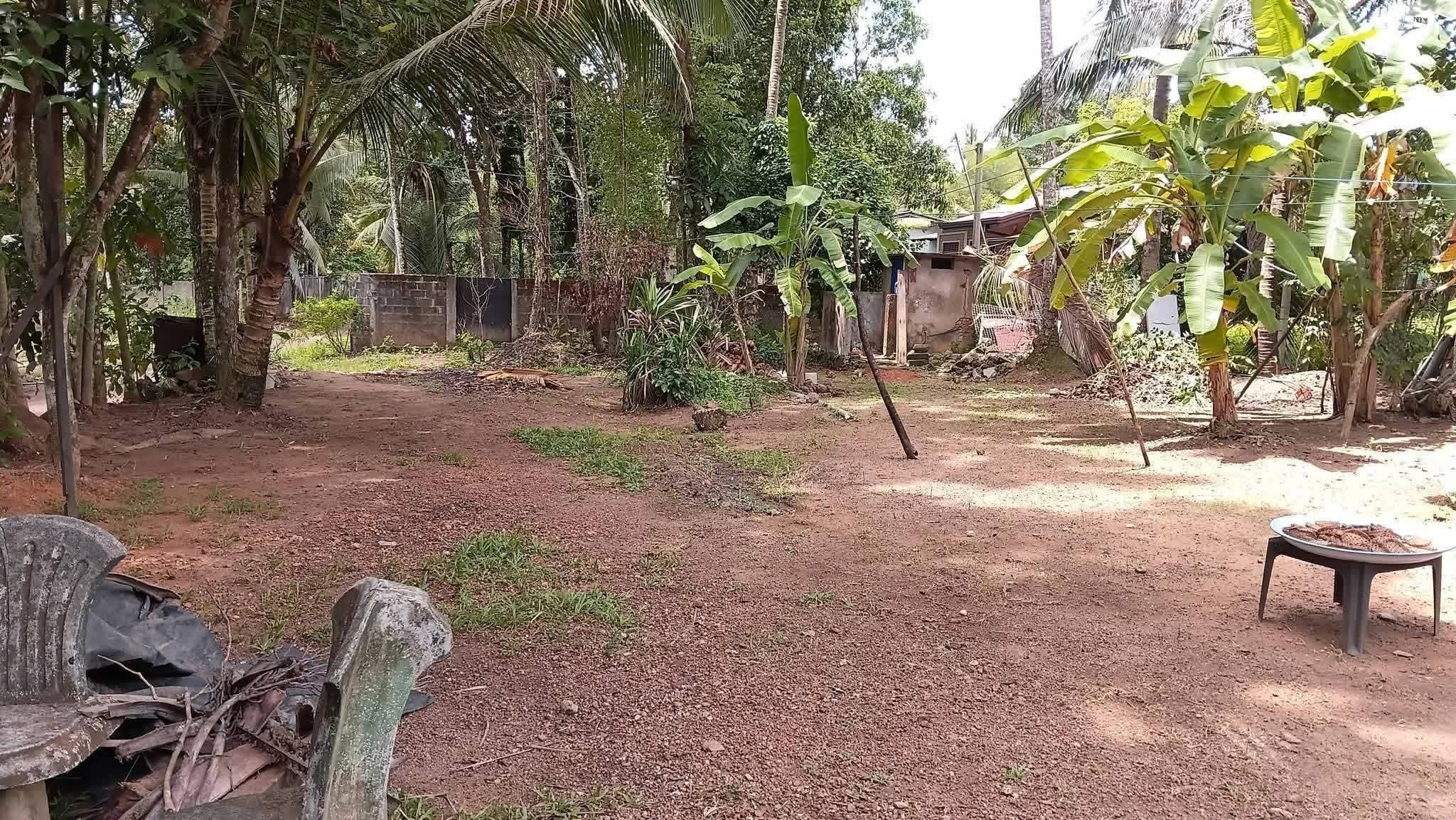 ව්‍යාපාරික කටයුතු සඳහා ඉතාම වටිනා ඉඩමක් – ඉක්මණින් විකිණේ!