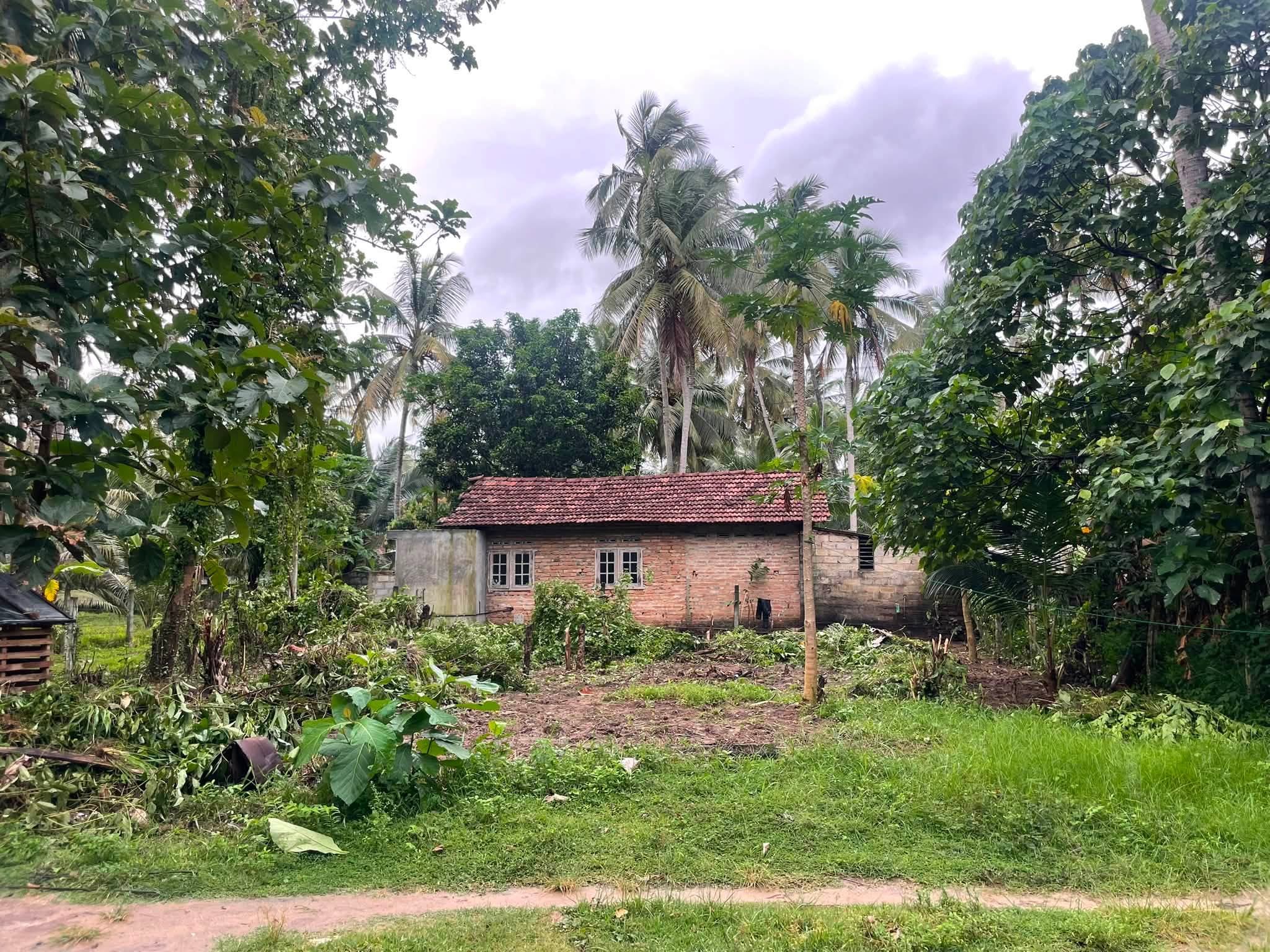 මීගමුව කටාන ඇත්ගාල පෙට්‍රල් ෂෙඩ් එක අසලින් හතරැස් හිස් ඉඩමක් විකිණීමට.