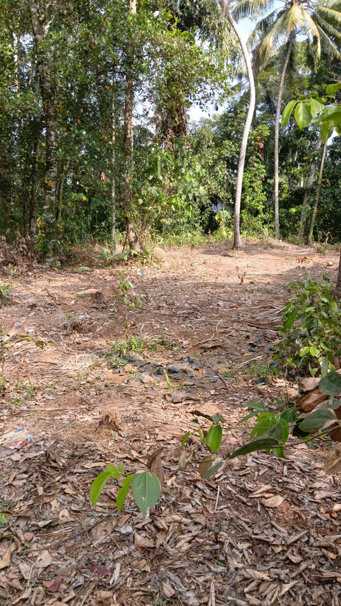උඩුගම්පොළ,වීදිය වත්තෙන් ඔබට ලැබෙන සුපිරි ඉඩමක් .