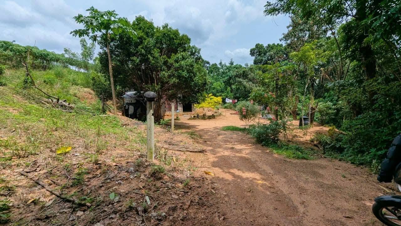 පර්චස් 13ම ලක්ෂ 10.50/= නිට්ටඹුව උෘරපොල අවටින්