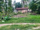 මීගමුව කටාන ඇත්ගාල පෙට්‍රල් ෂෙඩ් එක අසලින් හතරැස් හිස් ඉඩමක් විකිණීමට.