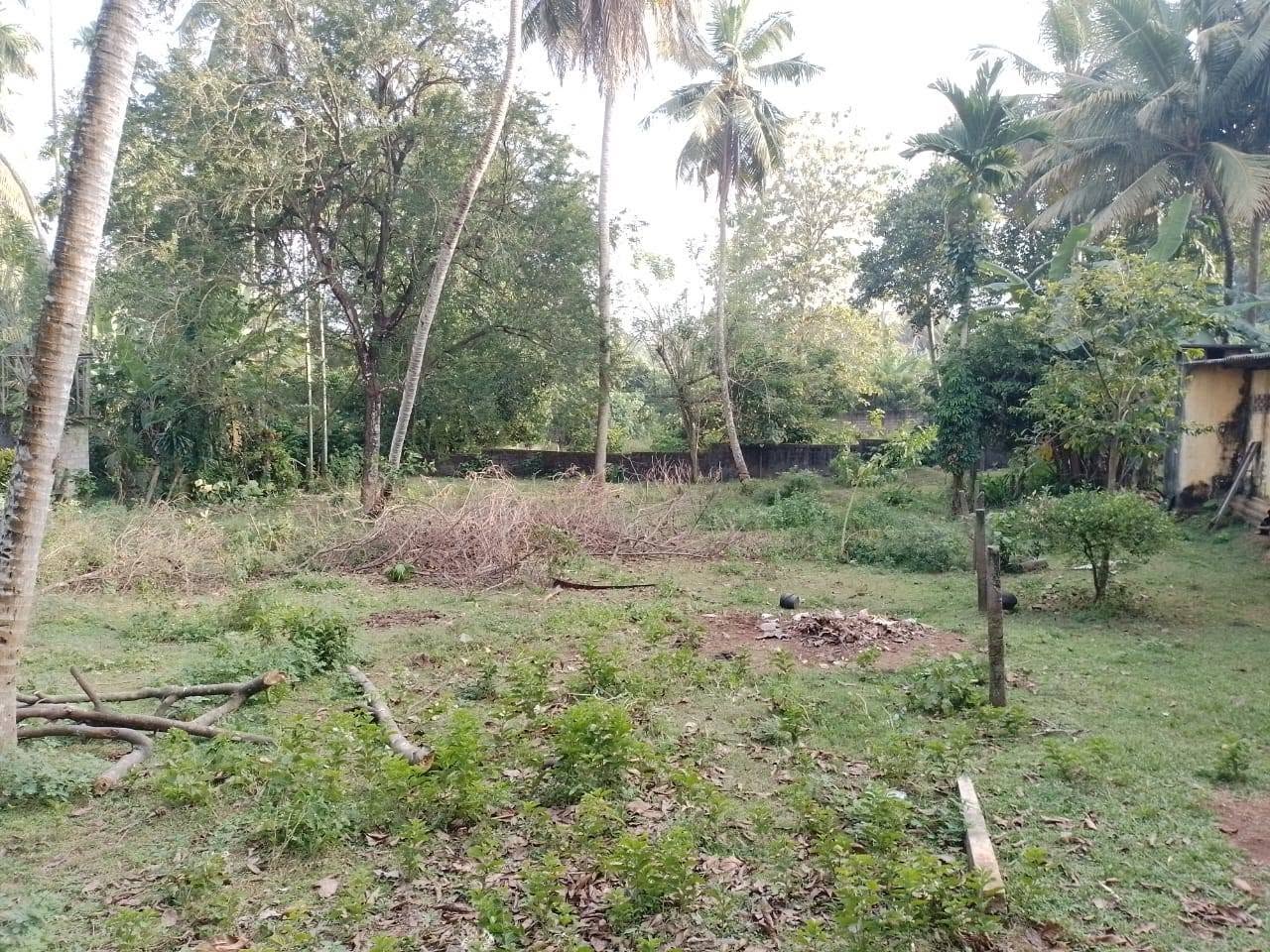 රාගම නගරයෙන්,රෝහල ආසන්නයේන් සුපිරි ඉඩමක් විකිණීමට තිබේ